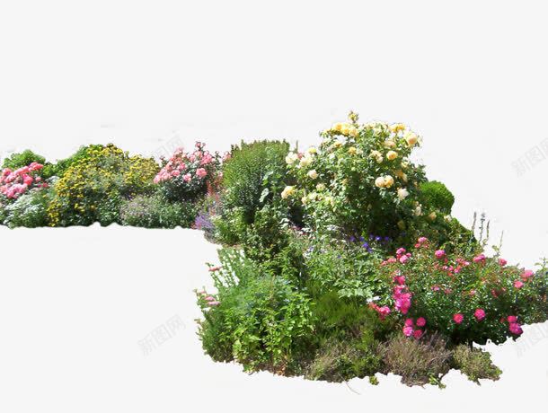摄影景区鲜花园林植物png免抠素材_88icon https://88icon.com 园林 摄影 景区 植物 鲜花