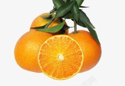 鲜甜的橙子素材