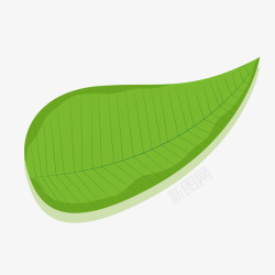 卡通绿色的植物叶片矢量图素材