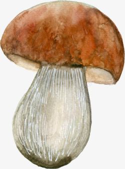 手绘可爱小蘑菇素材
