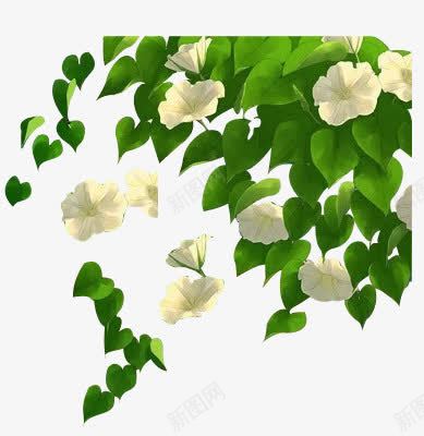 树叶间的白色花朵手绘插画png免抠素材_88icon https://88icon.com 插画 树叶 白色 花朵