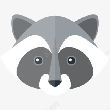 野生保护动物Racoon图标图标