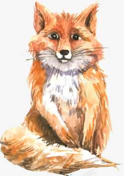 水彩写实狐狸矢量图素材