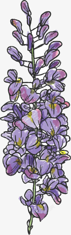 紫色手绘风格水彩薰衣草素材