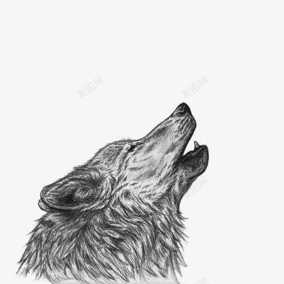 狼png免抠素材_88icon https://88icon.com 嚎叫 手绘 水墨 水彩 素描