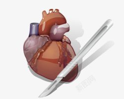 人体器官心脏和手术刀素材