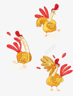 金色的公鸡长着红尾巴素材