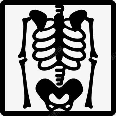 骨X射线骨架图X射线图标图标