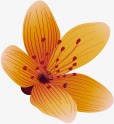 开花png免抠素材_88icon https://88icon.com 卡通花朵 手绘花朵 漂亮的花 花朵花卉 金色的花