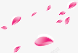 飘飞的粉色花瓣素材