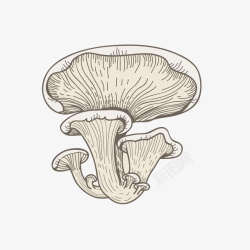 卡通手绘小清新的蘑菇矢量图素材