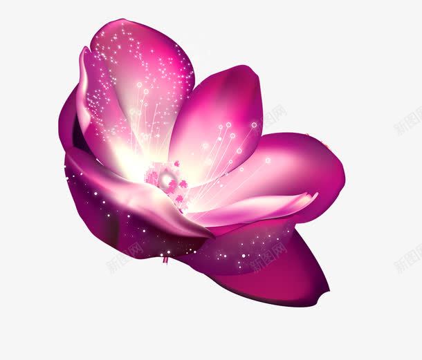 紫色的花png免抠素材_88icon https://88icon.com 一朵花 紫色的花 紫花