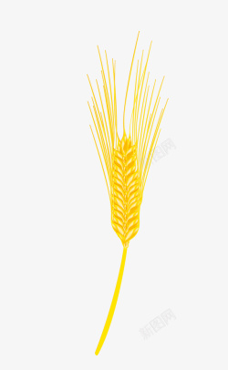 金色水稻创意矢量图素材