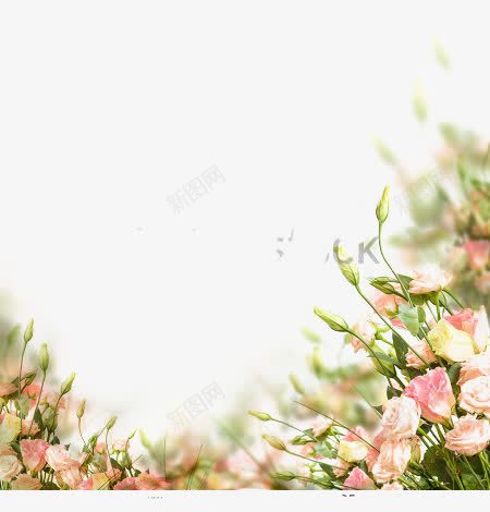 花瓣背景png免抠素材_88icon https://88icon.com 唯美 浪漫 背景 花瓣