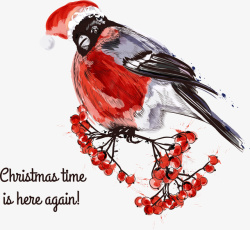 圣诞彩绘小鸟矢量图素材