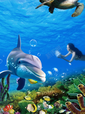 夏季旅游海底公园海洋馆游览海报背景