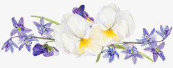 紫色花朵上的小白花素材