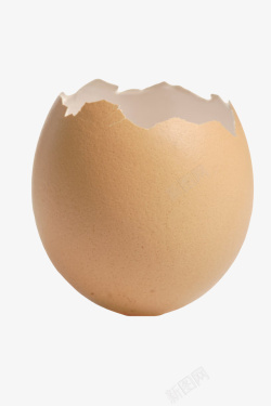 褐色鸡蛋爆开的初生蛋实物素材