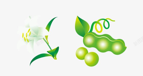 卡通豆角png免抠素材_88icon https://88icon.com 绿色 美丽 花卉 豆角