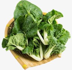 食物蔬菜维生素营养小白菜素材