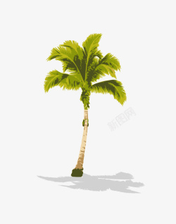 椰子树矢量图素材