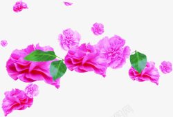 紫色唯美手绘花朵植物装饰花卉素材