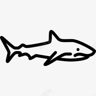 大鲨鱼图标图标