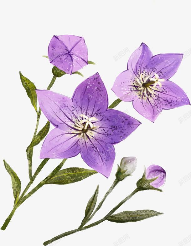 手绘紫色花卉七夕海报png免抠素材_88icon https://88icon.com 海报 紫色 花卉