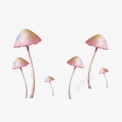 粉色清新小蘑菇装饰图案素材