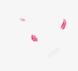 粉色玫瑰花瓣游戏装饰素材
