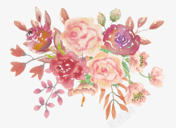 手绘粉色的鲜花素材