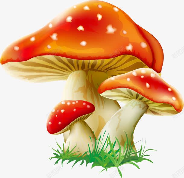 卡通清新精美蘑菇png免抠素材_88icon https://88icon.com 卡通 清新 精美 蘑菇