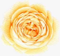 水彩黄色花朵玫瑰花素材