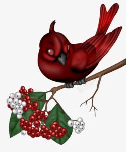 红色小啄木鸟素材