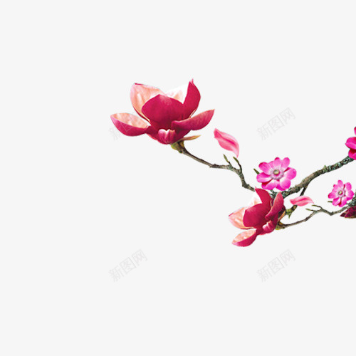 中秋节多图层花瓣psd免抠素材_88icon https://88icon.com 中秋 素材 节日