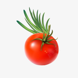 卡通食材蔬菜番茄素材