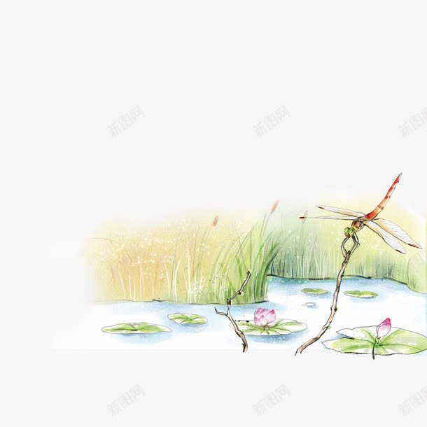 荷塘中的蜻蜓手绘png免抠素材_88icon https://88icon.com 素材 荷塘 蜻蜓