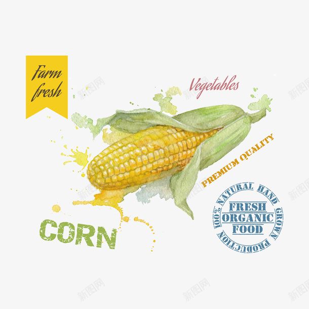 精美手绘玉米矢量图ai免抠素材_88icon https://88icon.com 墨迹 带叶子的玉米 蔬菜 矢量图
