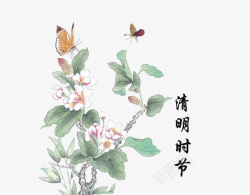 清明节传统节日水墨花朵装饰素材