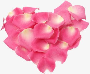 粉色玫瑰花瓣爱心png免抠素材_88icon https://88icon.com 爱心 玫瑰 粉色 花瓣