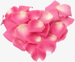 粉色玫瑰花瓣爱心素材