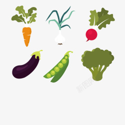 白花菜绿色花菜豆角胡萝卜矢量图高清图片