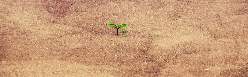 萌芽简约海报背景psd设计背景_88icon https://88icon.com 发芽 春天来了 生命 简约 纹理 萌芽 质感 黄土背景