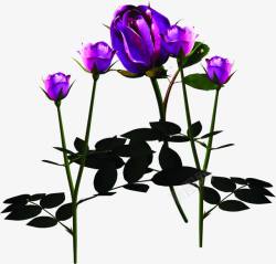 紫色玫瑰七夕素材