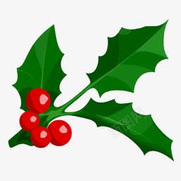 圣诞节日果实树叶png免抠素材_88icon https://88icon.com 圣诞 果实 树叶 节日