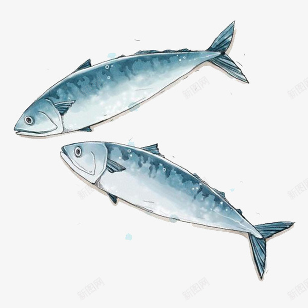俩条刀鱼png免抠素材_88icon https://88icon.com 动物 卡通 手绘 海里 食物 鱼