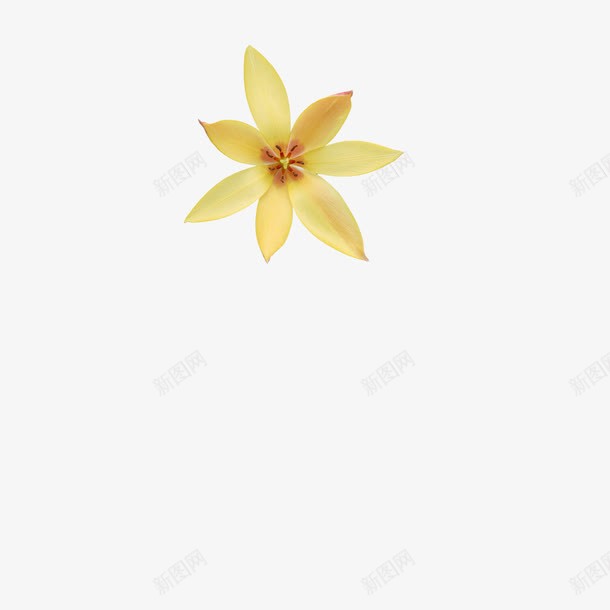 百花图png免抠素材_88icon https://88icon.com 花卉 黄色