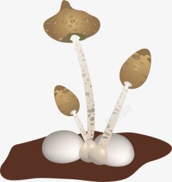 土壤蘑菇素材