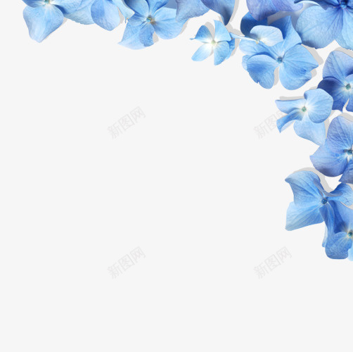 蓝色清新花朵边框纹理png免抠素材_88icon https://88icon.com 免抠PNG 清新 花朵 蓝色 边框纹理