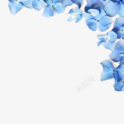 蓝色清新花朵边框纹理素材